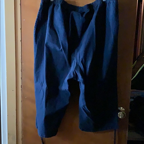 Capris - Picture 3 of 4